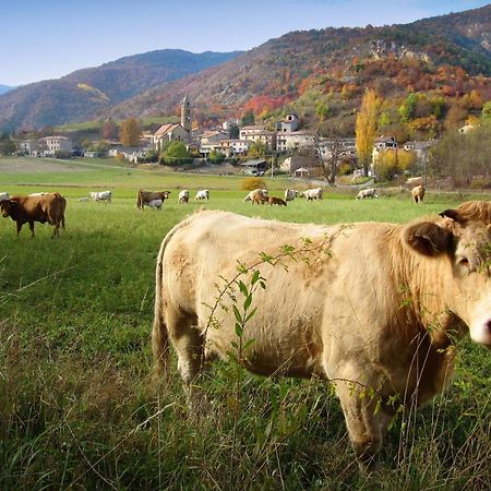 Gite La Taniere Des Alpes Bayons 外观 照片