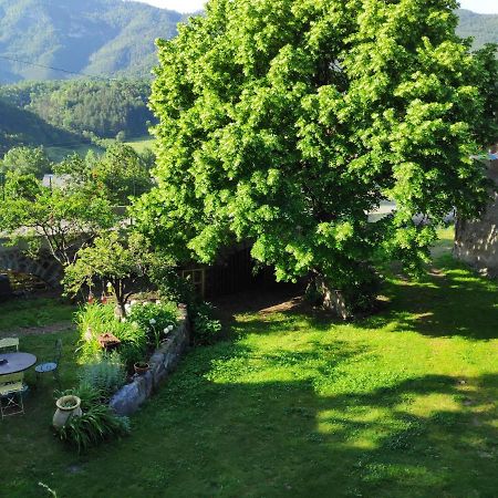 Gite La Taniere Des Alpes Bayons 外观 照片