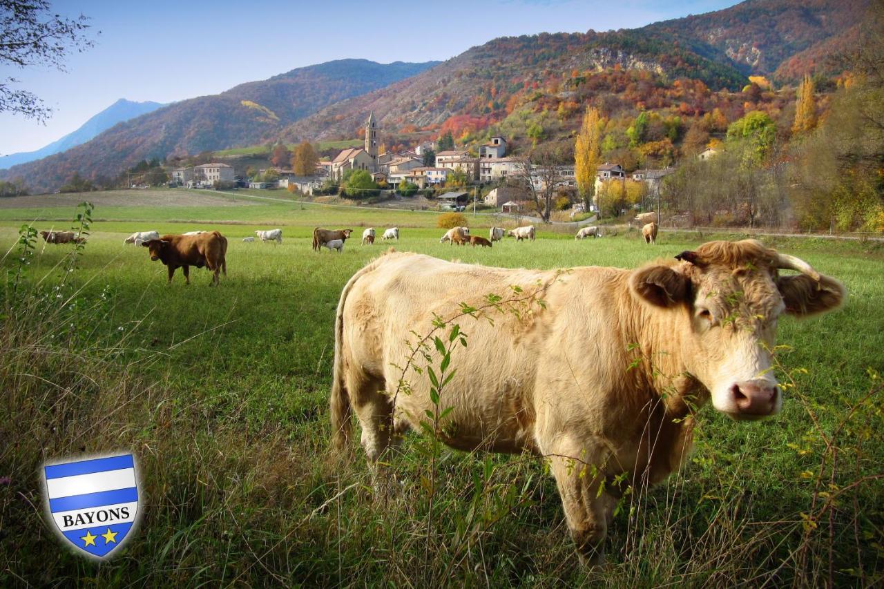 Gite La Taniere Des Alpes Bayons 外观 照片